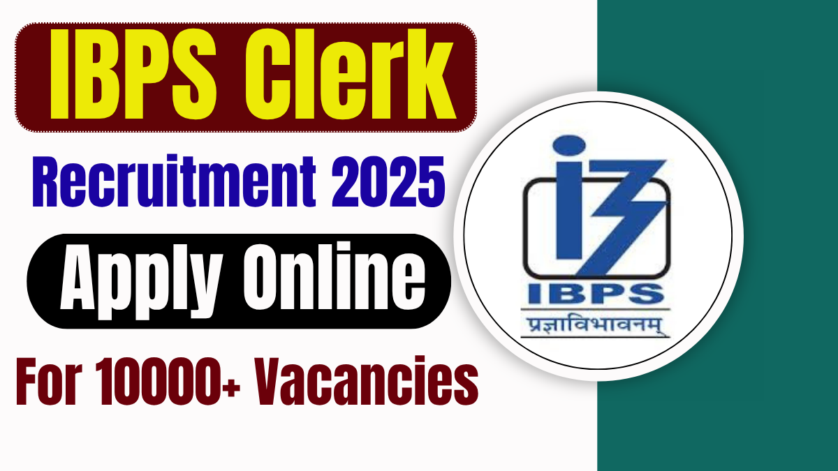 IBPS Clerk Recruitment 2025
